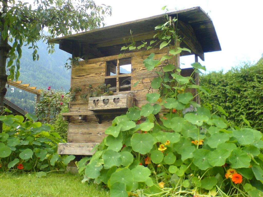 Appartement Haus Elfi Fiegl à Oetz Extérieur photo